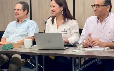 Otro articulo de prueba